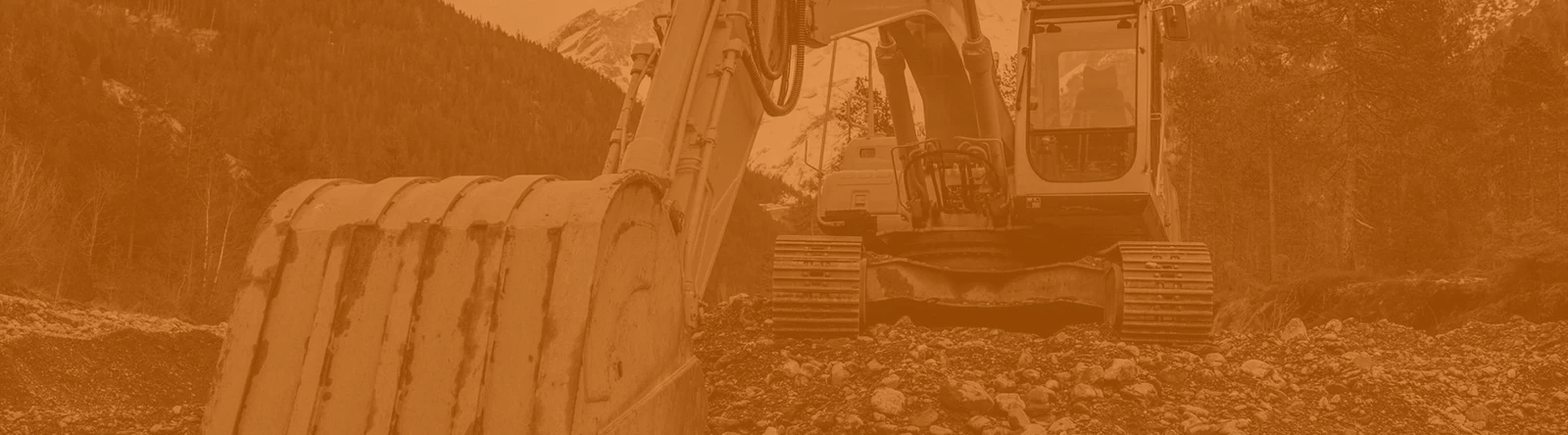 PP&E Valuation Industry Experience